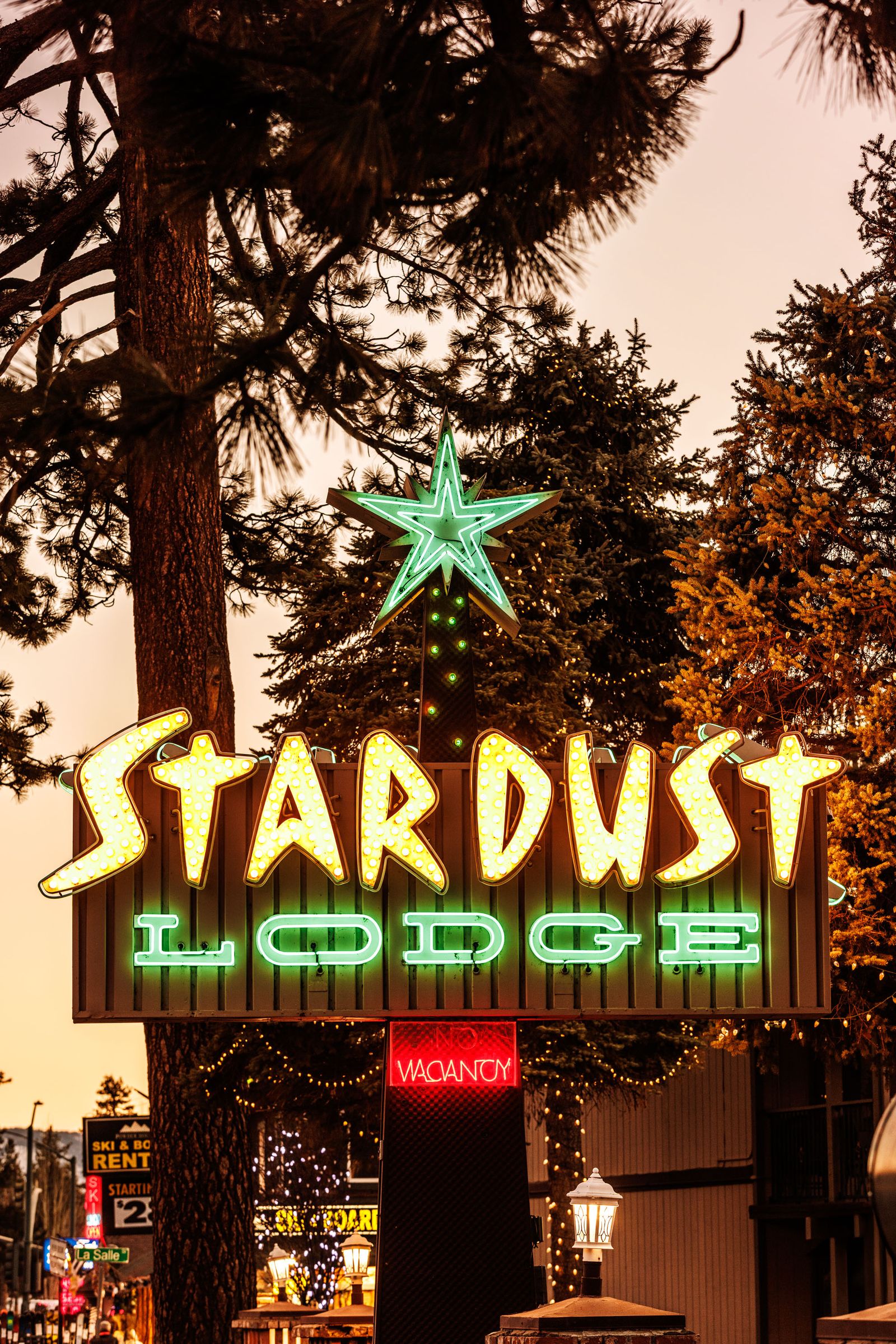 Изображение может содержать освещение и символ растительного дерева.