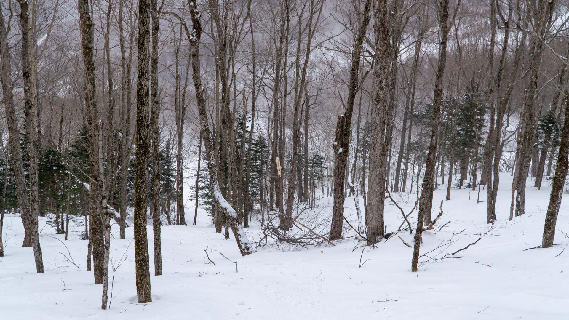 Кроличья тропа Пик Джей Пик