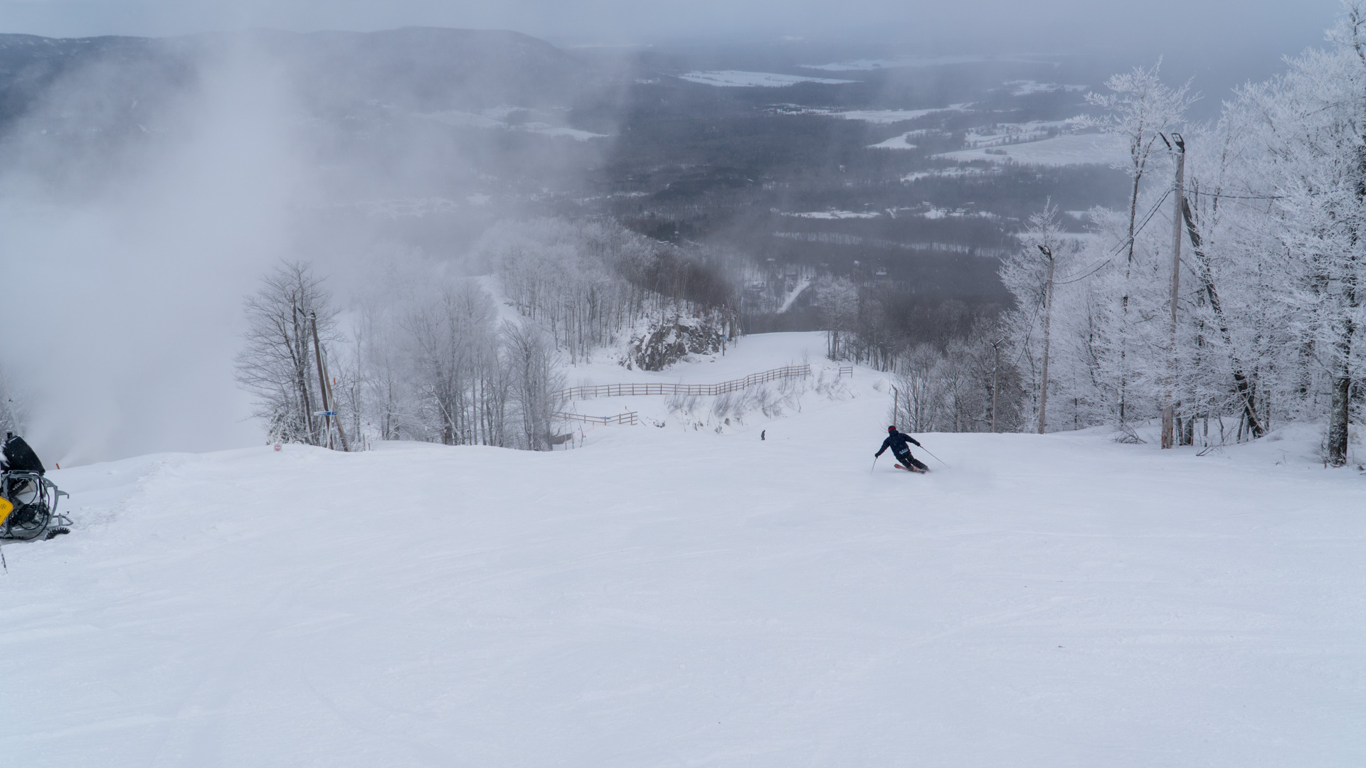 Бромонт Коуэнсвилл