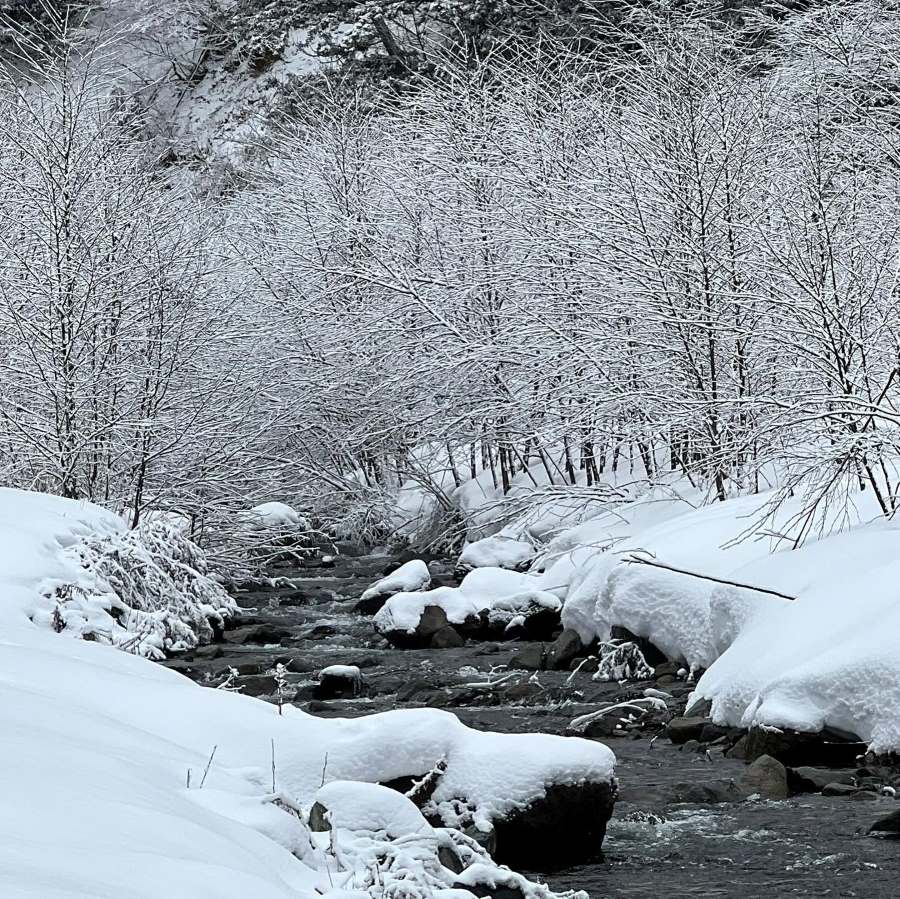 В поисках нового зимнего направления попробуйте сбежать на снегоступах в суровых глубинах Японии