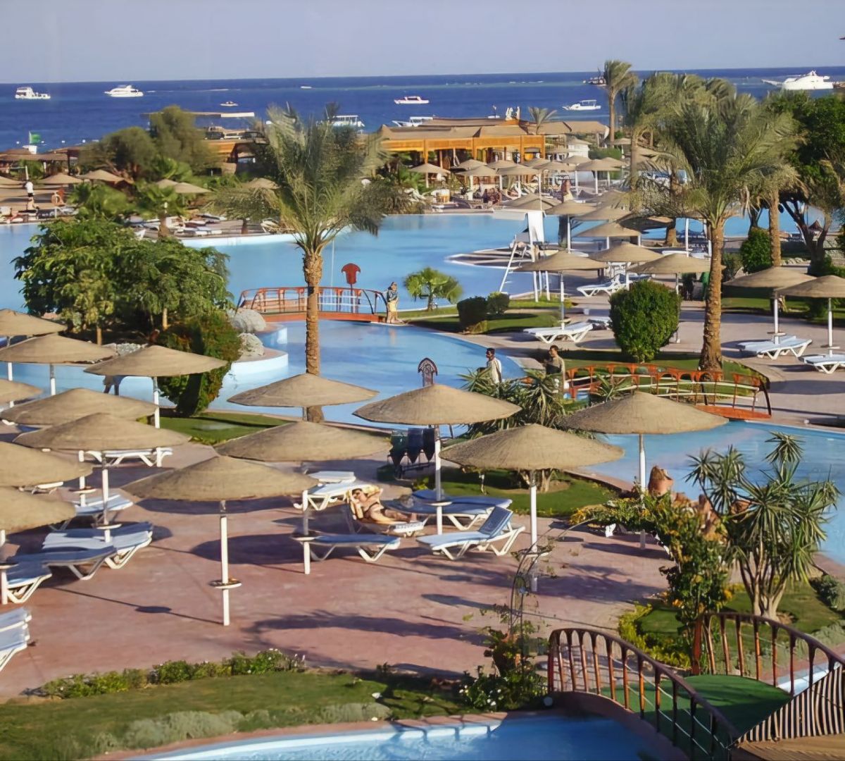 Где липчане отметят Новый год: от тёплых морей до зимней сказки России