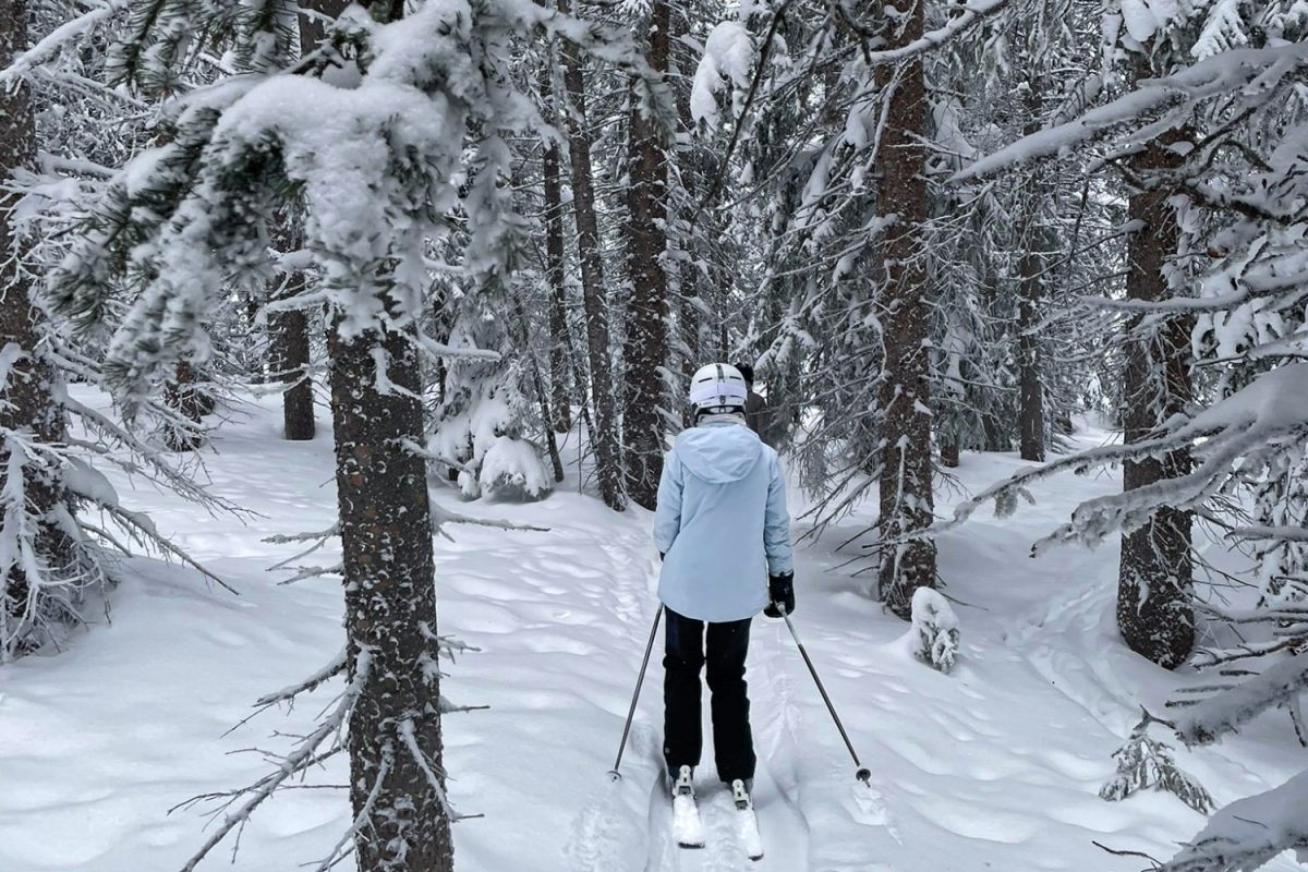 Эвелин Риччи летит между деревьями в свежий снег, следуя за своей кузиной. После того, как выпадает снег, горы действительно начинают напоминать зимнюю страну чудес; деревья припорошены снегом, и атмосфера приобретает новое качество. «Мне очень нравится кататься на лыжах со своими кузенами и семьей, но мне нравятся времена, когда идет много снега и в горах много снега», - сказал Риччи. 