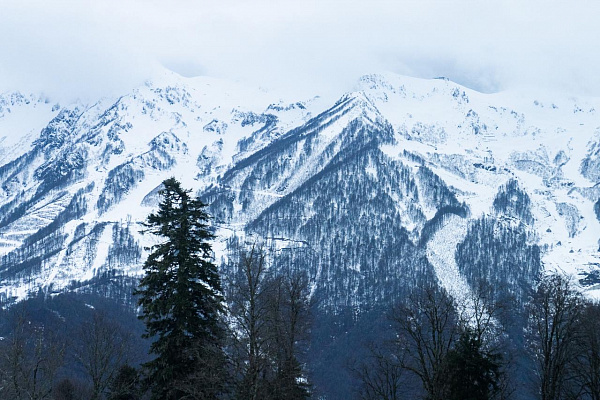 Снежный дефицит: открытие горнолыжных трасс в Сочи намечено на 26 декабря - Городской портал Sochi24.tv