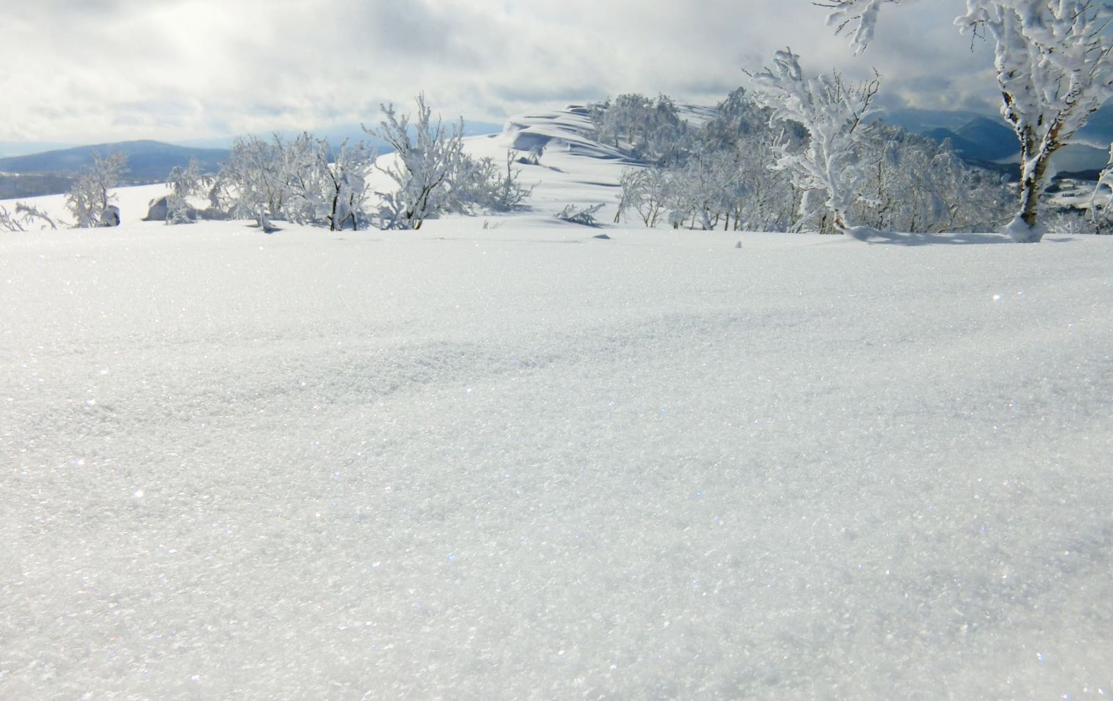 Горнолыжные курорты Японии: Почему стоит поехать кататься и какие места выбрать?